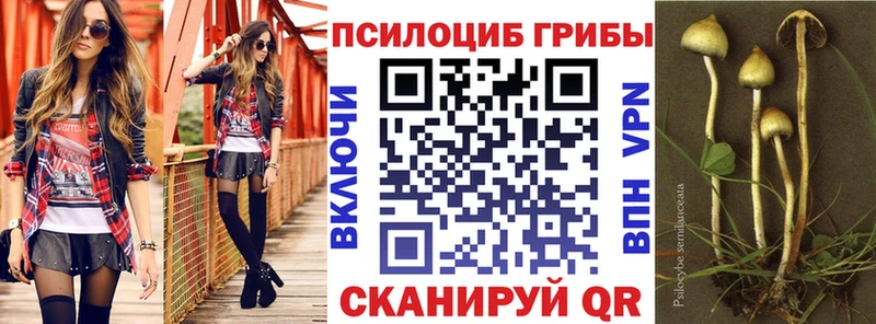 Купить  Катайск  Псилоцибиновые грибы ЛСД 